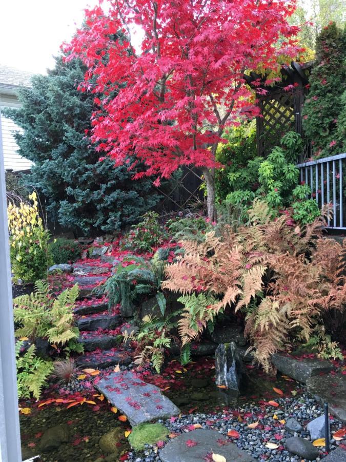 Neckpoint Treasure Apartment Nanaimo Luaran gambar